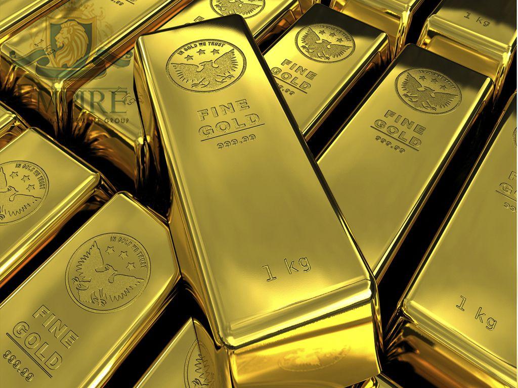 Gold & Gold Stocks